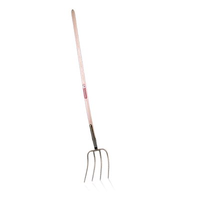 Fork 4 prongs 31 x 23 cm